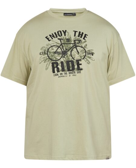 North Latitude Print T-Shirts (Light Green)